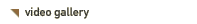 Video Gallery